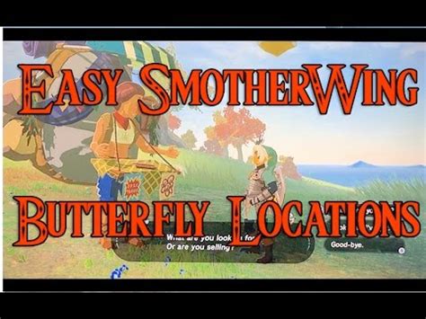 The Easiest Smotherwing Butterfly Buying Locations Zelda botw